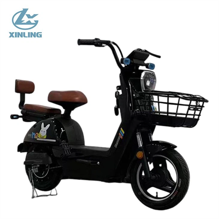 Electric Scooter Bike